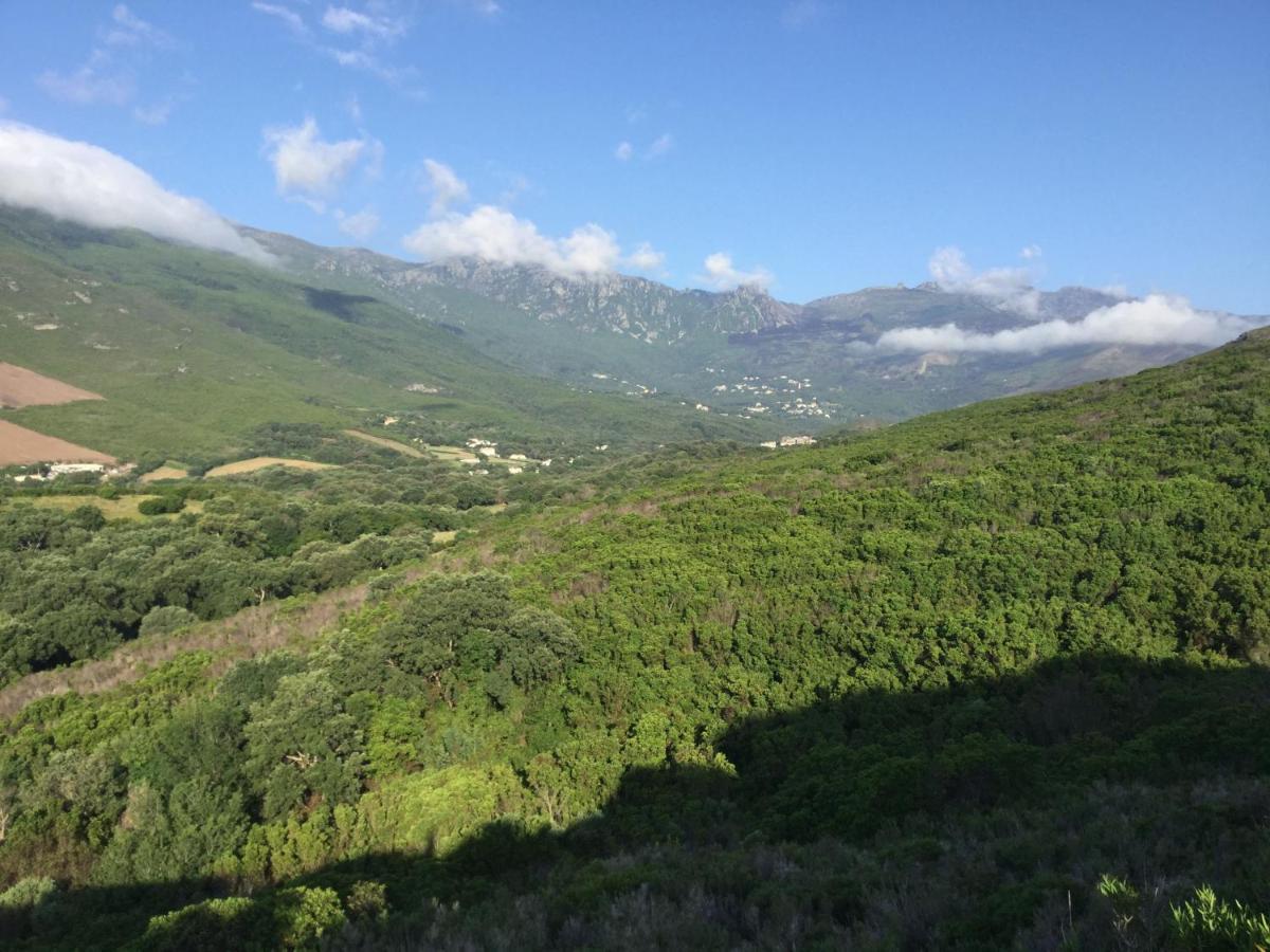 Chambre D Hotes En Haute Corse Sisco Eksteriør billede